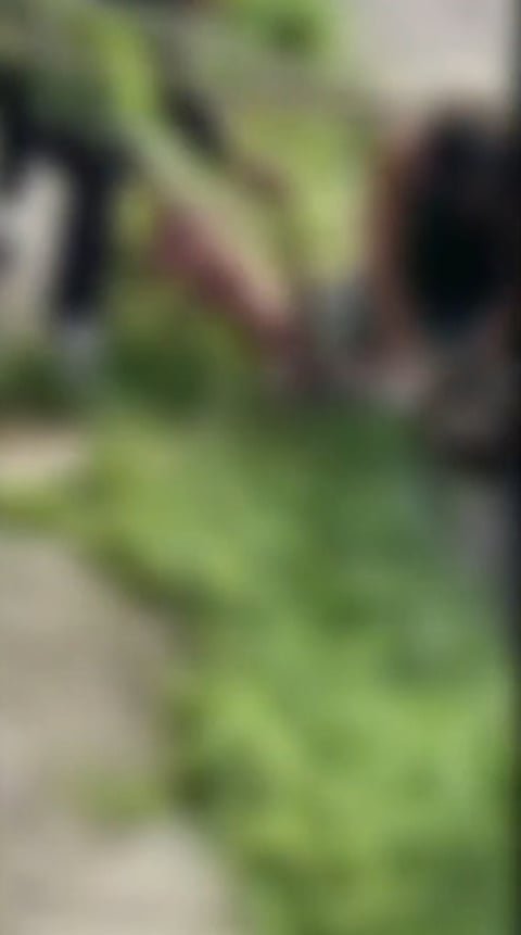 No mesmo dia, um cão pitbull matou uma cadela de pequeno porte em 31/10 no bairro Retiro, em Volta Redonda, no sul do estado do Rio de Janeiro. Por serem chocantes, as imagens circularam na imprensa com efeito para embaçá-las. O tutor foi autuado porque o pitbull estava sem focinheira, uma exigência da lei para a proteção do público. 