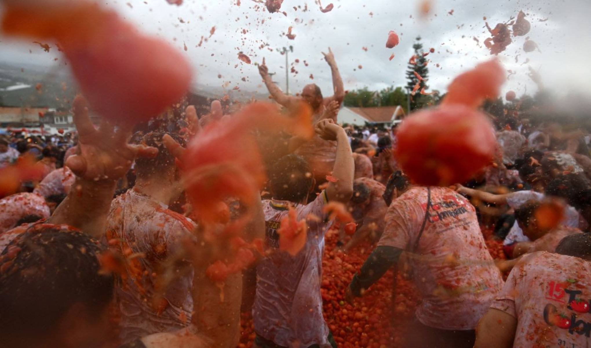 Trata-se de uma grande guerra de comida em que 20 mil pessoas se atacam com tomates