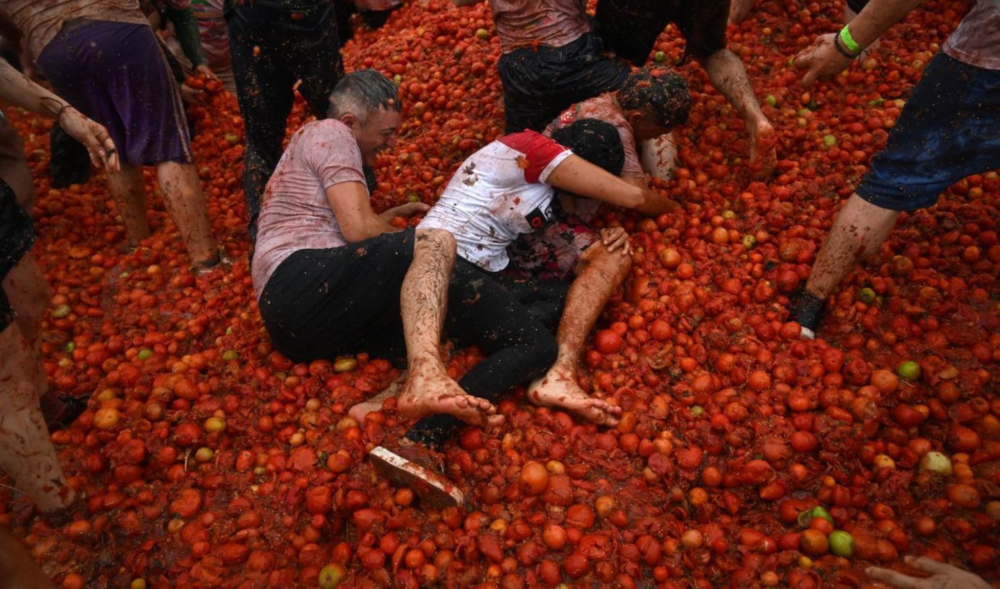 De acordo com o prefeito da cidade, entre 70% e 80% da população local trabalha no cultivo de tomates