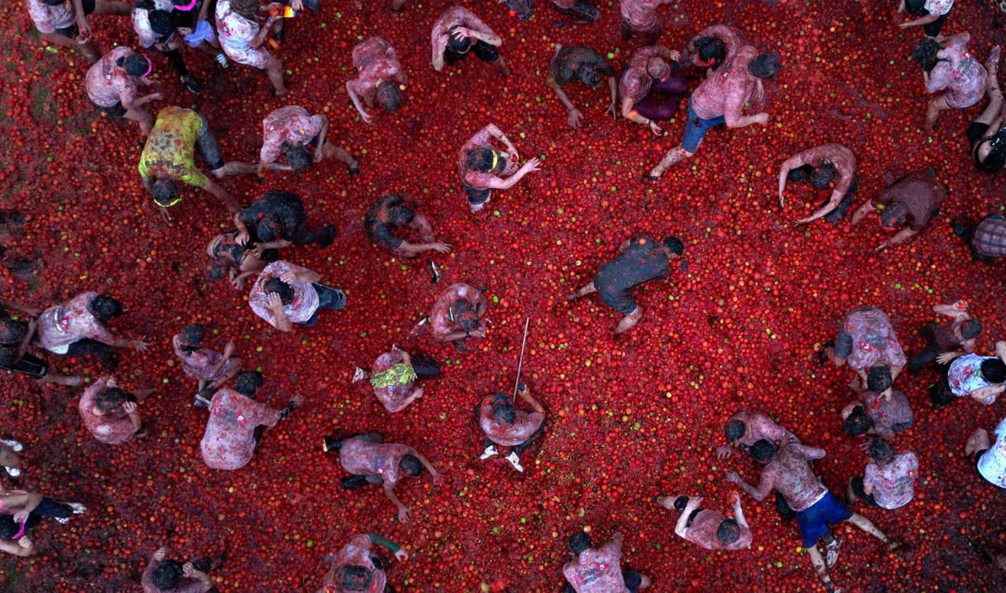 Gran Tomatina
