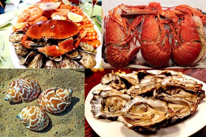 Naquele momento, a jovem ficou encantada com o sabor da refeição, entretanto não sabia que o caracol se enquadra como um tipo de fruto do mar. O namorado, por sua vez, nem desconfiou quando experimentou a refeição.