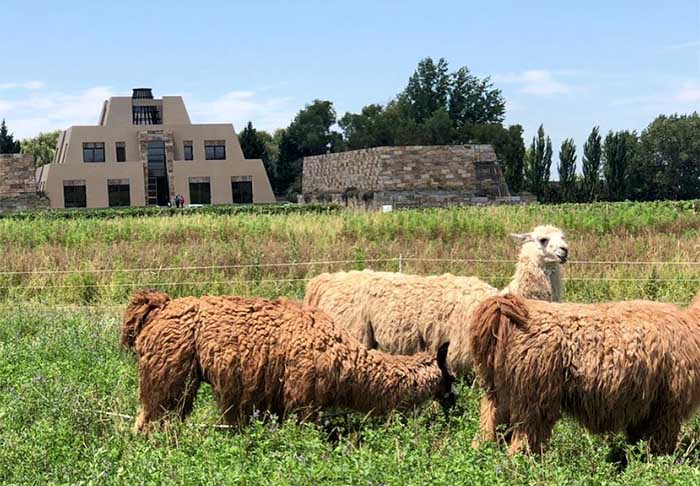 1ª – A liderança fica com a vinícola ‘Catena Zapata', na cidade de Mendoza, na Argentina. Seu principal produto é o vinho Malbec, referência no país. O espaço oferece eios que apresentam a história da vinícola familiar.