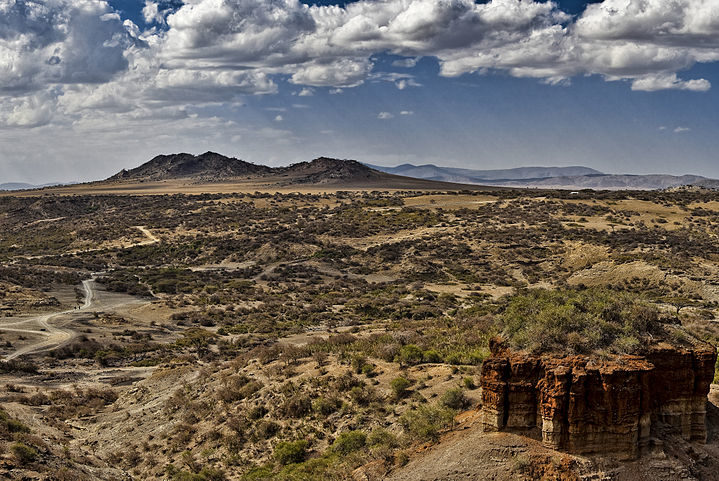 Os itens foram escavados no desfiladeiro de Olduvai, na Tanzânia.