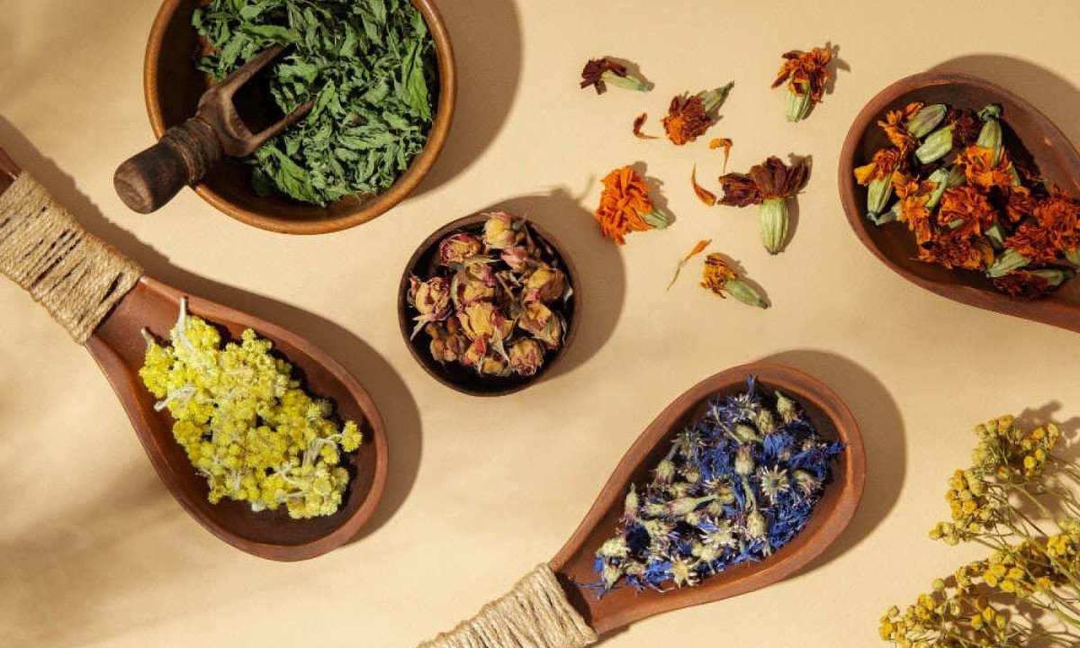 Um dos temas será a diversidade de saberes tradicionais, incluindo medicinas indígenas e plantas medicinais -  (crédito: FreePik)
