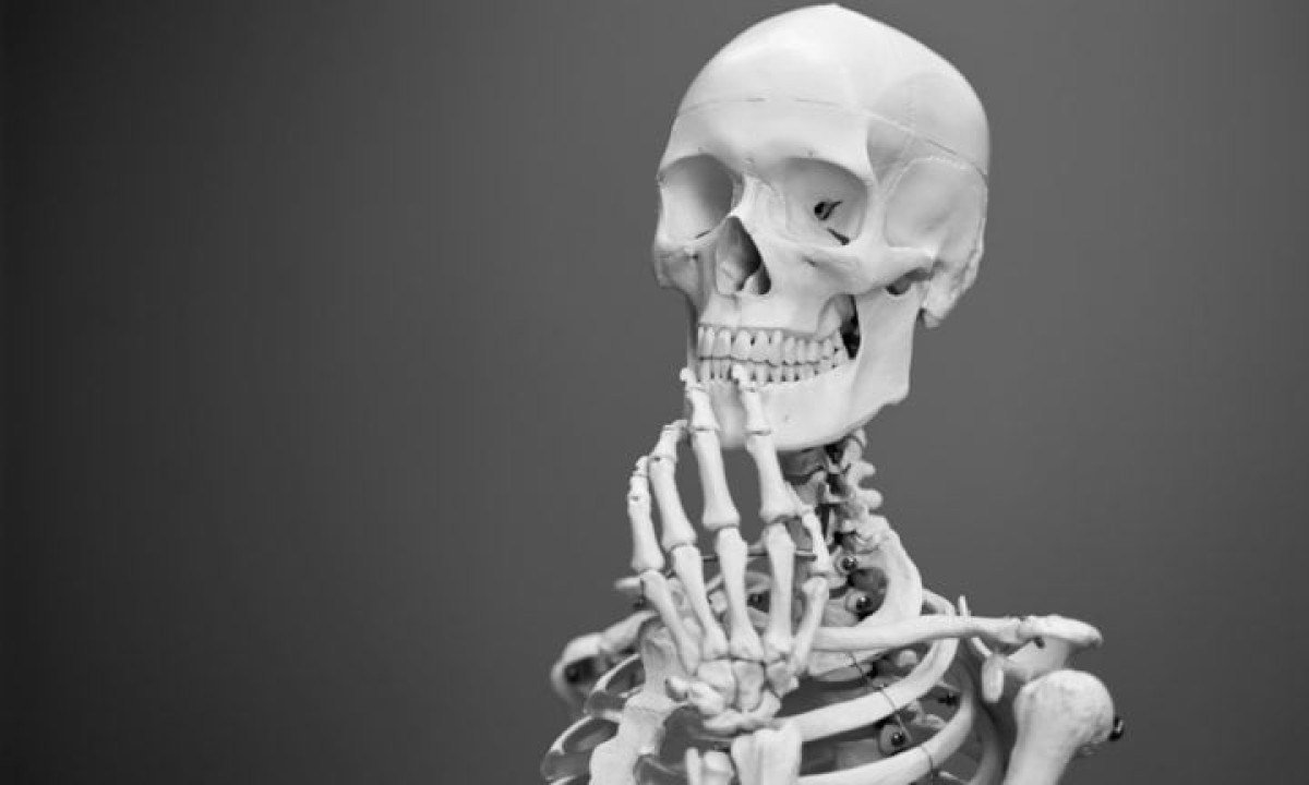 Medicina e pesquisa: Ossos s&atilde;o estudados para entender doen&ccedil;as &oacute;sseas e desenvolver tratamentos. -  (crédito: Mathew Schwartz/Unsplash)