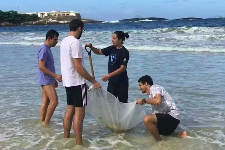 A pesquisadora Rayane Abude, da Unirio, destaca que as mudanças ambientais do Antropoceno (era de impacto humano no planeta) estão afetando espécies como o Emerita brasiliensis, comum no litoral brasileiro.