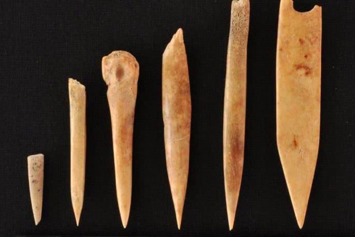 Ferramentas e utensílios: Em algumas culturas, ossos são utilizados para fazer cabos de facas, agulhas ou ferramentas artesanais.