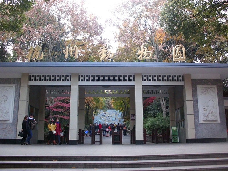 Diante da repercussão, o zoológico de Hangzhou (leste da China) decidiu se pronunciar: "Nossos bichos são reais" A instituição informou que veículos de imprensa poderiam ir ao local para atestar não tratar-se de um urso 'fake'. 