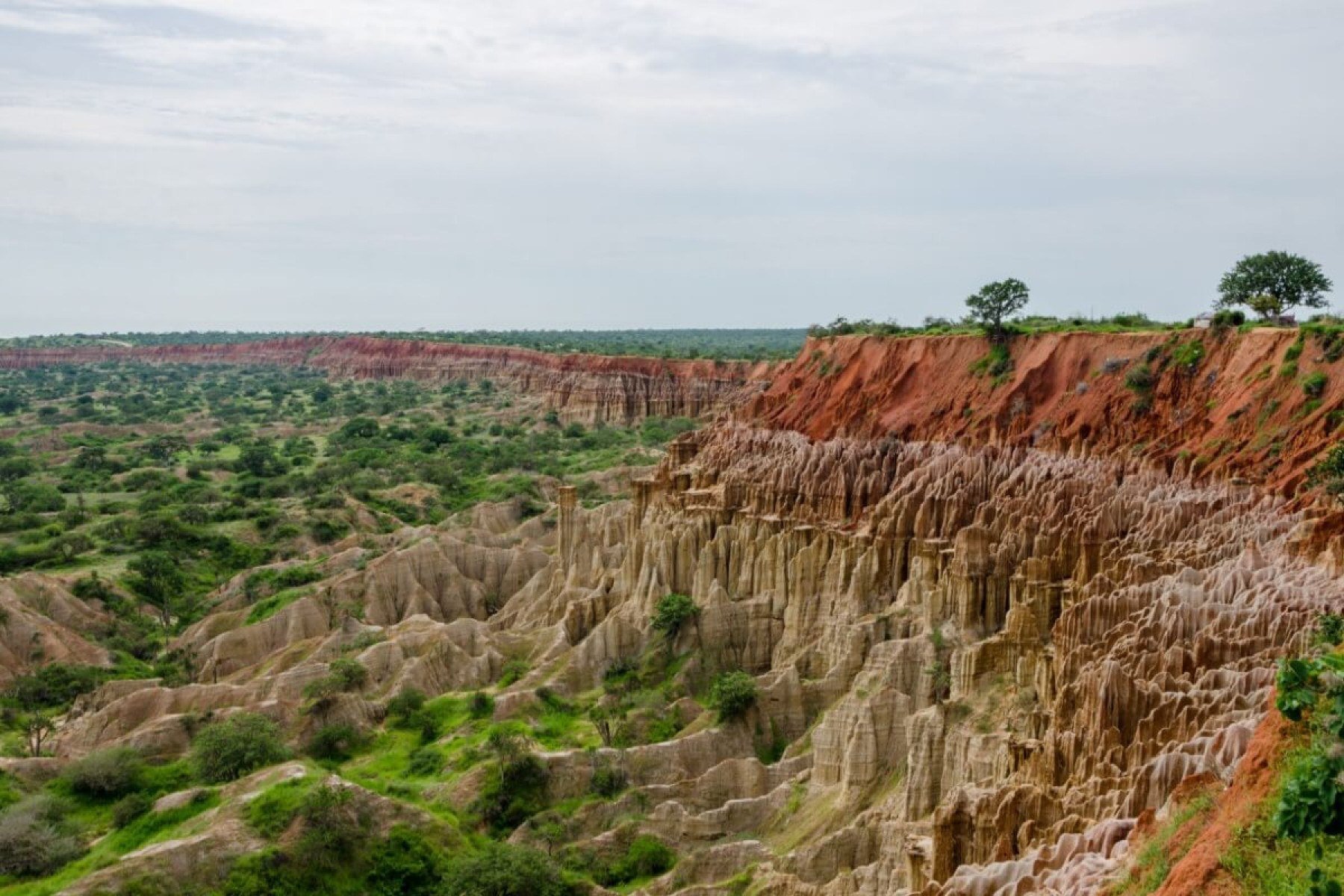 3 destinos exclusivos para explorar a vida selvagem africana