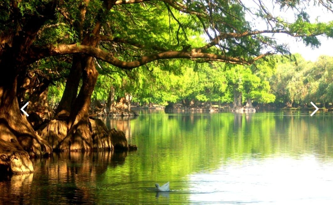 Uma parte do país tem predominância do clima subtropical úmido. É onde fica o Lago Camécuaro, uma área protegida, com água cristalina, paraíso de fotógrafos pela beleza da paisagem.