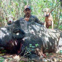 Invasão ameaçadora na Serra do Espinhaço - Elias / Arquivo Pessoal