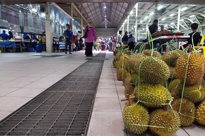 Uma fruta chamada Durian, que tem um cheiro pavoroso, provocou um pouso de emergência na Europa. O FLIPAR mostrou e relembra o caso. -  (crédito: Mx. Granger - WIKI COMMONS)