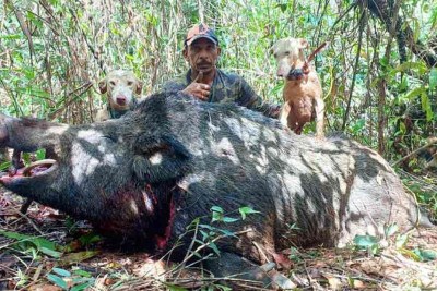 No mês ado, os caçadores Reginaldo Sampaio (foto) e Elias abateram um 
animal que pesava quase 300 quilos entre João Pinheiro e São Gonçalo do Abaeté  -  (crédito: Elias / Arquivo Pessoal)