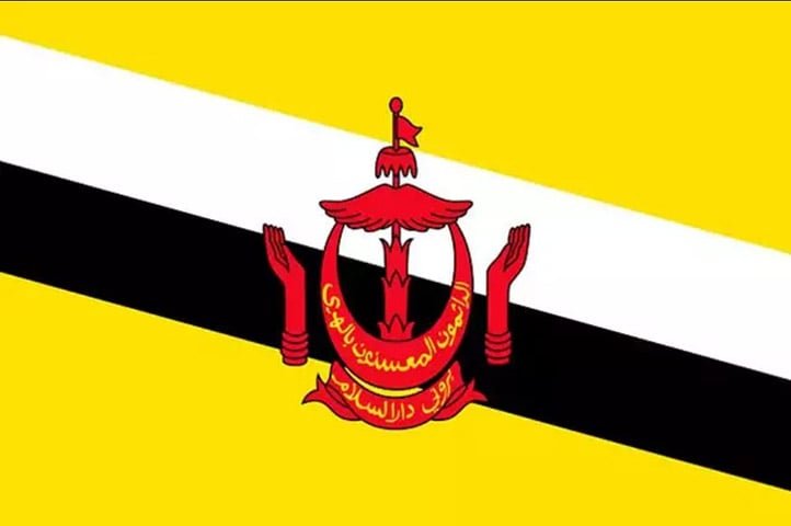 Sultão, em árabe, significa "aquele que detém o poder". Assim como as demais denominações, principalmente emir e califa, também é usado na política. Brunei e Omã  são países governados por sultões. 