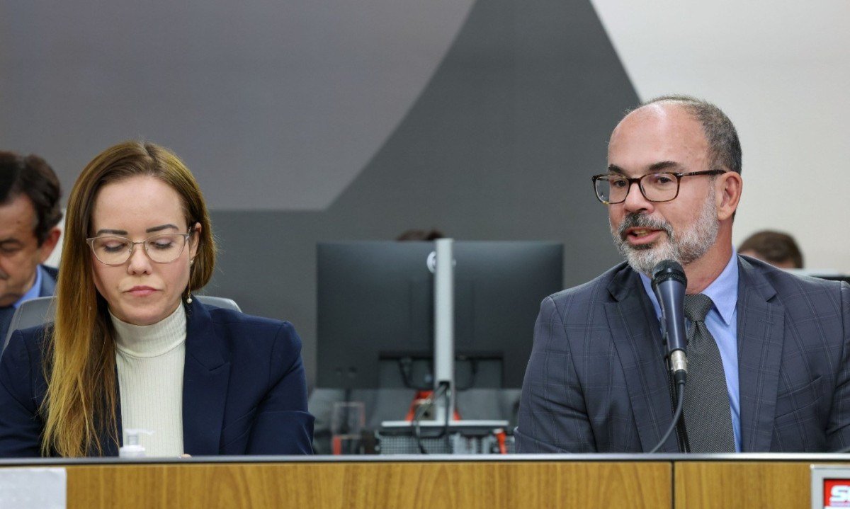 Luiz Gomes (dir.) participou da audi&ecirc;ncia do Assembleia Fiscaliza ao lado da secret&aacute;ria de Planejamento e Gest&atilde;o, S&iacute;lvia Listgarten -  (crédito: William Dias/ALMG)