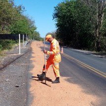 Óleo de fritura é descartado irregularmente em rodovia de Minas - CBMMG