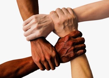  Quando unimos forças, podemos transformar desafios em esperança e vida -  (crédito: Pixabay)