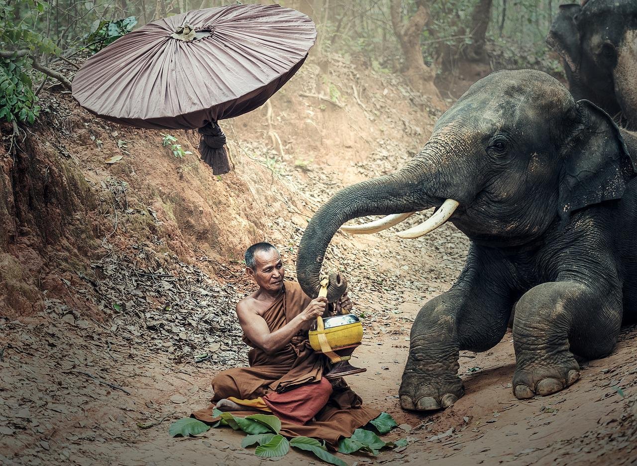 Os elefantes têm uma grande importância para os seguidores do Budismo. Diz a lenda que a Rainha Maya sonhou que um elefante entrou por sua axila indo até o ventre. E ela percebeu que estava grávida de Buda. 