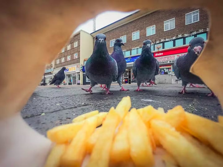 "Limpadores de Rua", por Ben Lucas: Este ano, fotos em cenários urbanos ganharam destaque. Essa foto, vencedora na categoria para jovens de 15 a 17 anos, foi feita com uma câmera GoPro escondida dentro de um saco de batatas fritas.