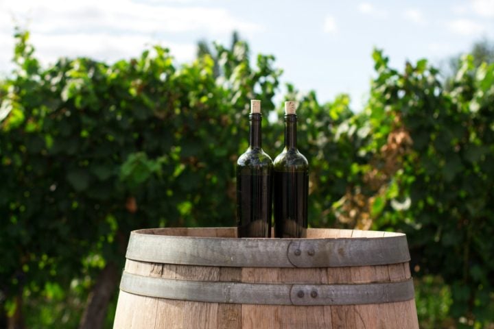 Esses vinhos, conhecidos como "vinhos de frutas" ou "vinhos alternativos", oferecem opções diferenciadas, com as características das frutas utilizadas no processo de fermentação como destaques. Conheça, então, algumas opções que você possivelmente não conhecia.