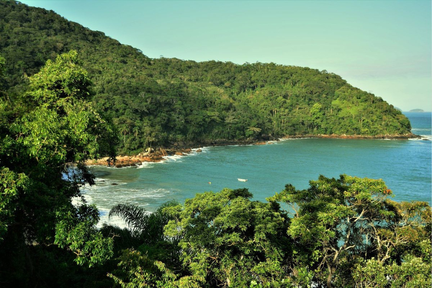 Praia do Cedro em Ubatuba
-NancyAyumi de Getty Images