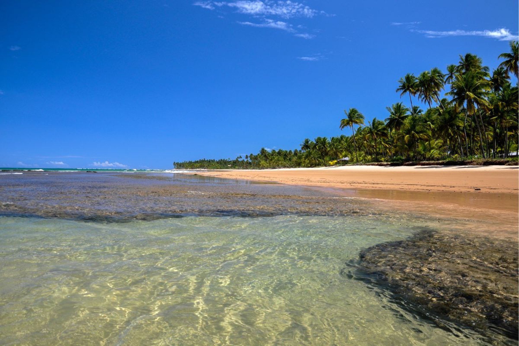 Taipu de Fora, na Bahia
-KamilloK de Getty Images Pro
