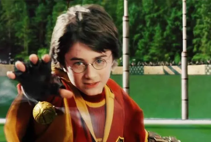Fãs de ‘Harry Potter’ jogam fezes em atração turística