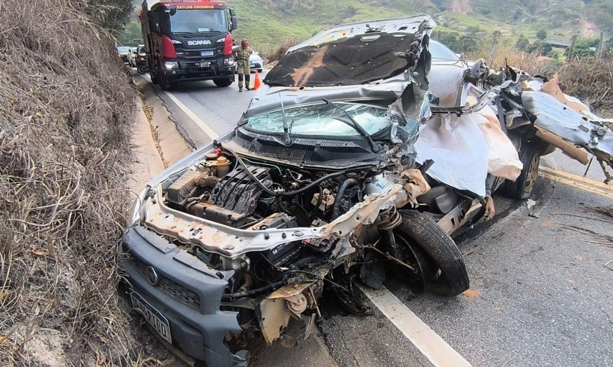 Motorista, que não teve idade divulgada, morreu no local do acidente na manhã desta terça-feira (10) -  (crédito: PMMG/Divulgação)