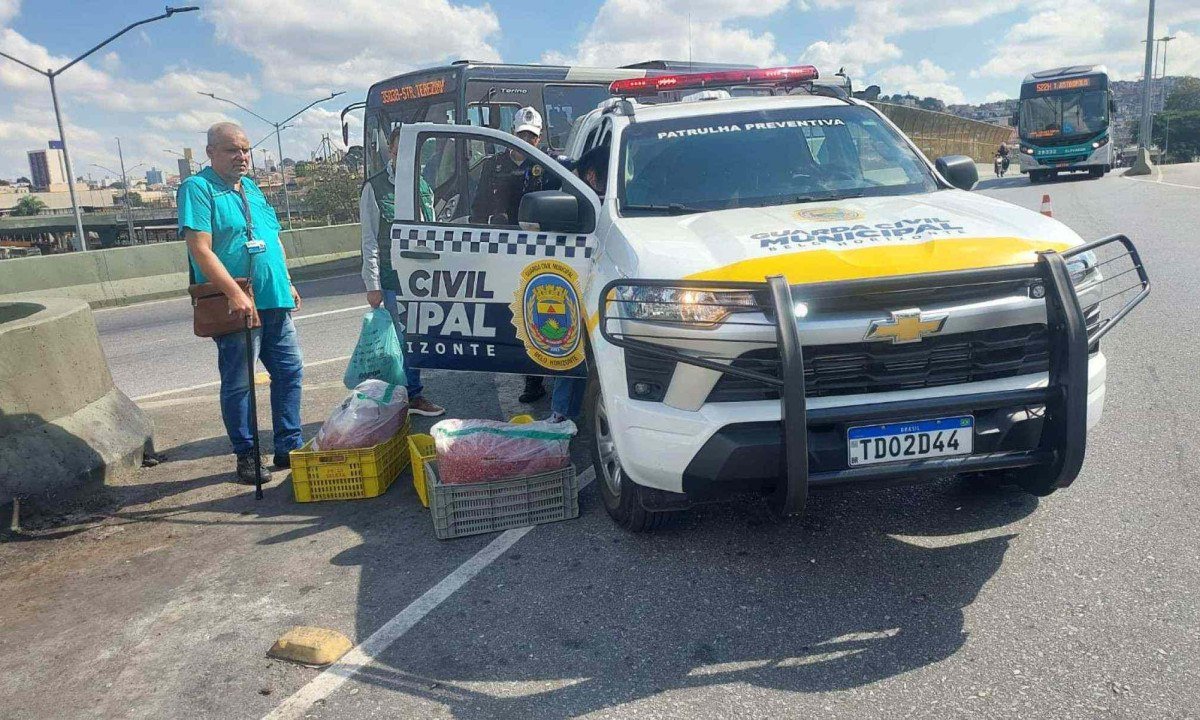 No total, 140 kg de carne moída foram apreendidos. O veículo foi também foi recolhido e o motorista foi multado  -  (crédito: Divulgação / Guarda Civil Municipal)