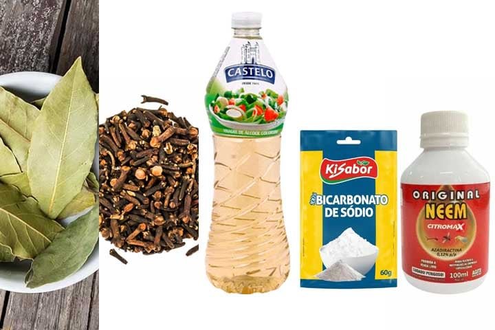 Produtos naturais que afastam baratas: Folhas de louro, cravo-da-índia, vinagre, óleo de neem e bicarbonato de sódio são repelentes naturais. Espalhar esses produtos em locais estratégicos ajuda a mantê-las afastadas.
