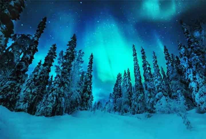 Finlândia - Quase 75% do país é coberto por florestas boreais de abetos e pinheiros, essenciais para a fauna local. O nome "vem da palavra "boreal", que significa "do norte" ou "relativo ao norte". Esse bioma é predominante nas regiões subárticas e temperadas do hemisfério norte, onde o clima frio e os invernos longos favorecem o crescimento de árvores coníferas.