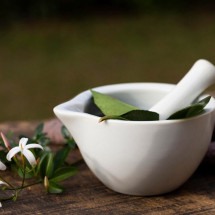 Gripes e alergias do outono: como as plantas medicinais fortalecem a saúde  - Freepik