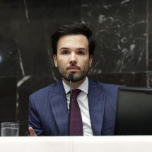 Fim da consulta popular para privatizar Cemig e Copasa vai tramitar na ALMG - Daniel Protzner/ALMG