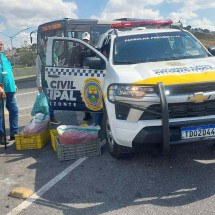 BH: carne moída podre de restaurantes da Savassi é apreendida no Centro  - Divulgação / Guarda Civil Municipal