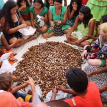 MG: indígenas e quilombolas trocam sementes e debatem preservação ambiental - Julia Guedes/ Projeto Hãmhi - Terra Viva 