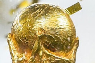 Copa do Mundo de 2026 chega ao 11º classificado; veja seleções garantidas