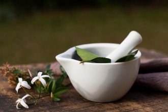 Gripes e alergias do outono: como as plantas medicinais fortalecem a saúde 