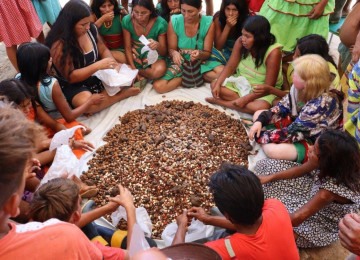 Terra Indígena Maxakali sedia jornada de reflorestamento e saberes tradicionais em Minas Gerais  -  (crédito: Julia Guedes/ Projeto Hãmhi - Terra Viva )
