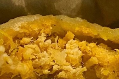 Baratas voltaram a causar nojo ao serem encontradas dentro de alimentos no Rio de Janeiro. Desta vez, foi numa pastelaria perto da estação Siqueira Campos do metrô, em Copacabana.  - 