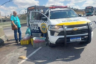 No total, 140 kg de carne moída foram apreendidos. O veículo foi também foi recolhido e o motorista foi multado  -  (crédito: Divulgação / Guarda Civil Municipal)