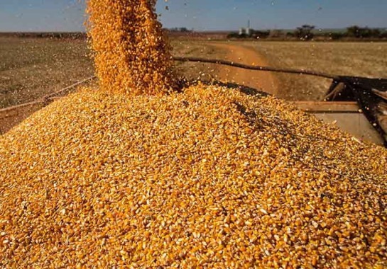 Flickr Wenderson Araujo