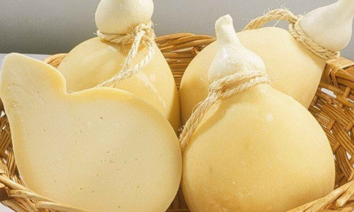 O queijo cabacinha é a grande novidade da edição de 2025 do Festival do Queijo Artesanal de MInas