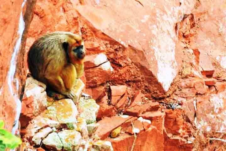 A cratera começou a se formar há mais de 10 milhões de anos, mas sua formação atual é bem mais recente: surgiu há cerca de 300 mil anos.