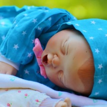 Bebê reborn, dissociação e polêmica da maternidade ilusória - PxHere