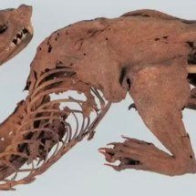 Ciência resolve mistério de "dragão japonês" encontrado no século 15 - Reprodução/Office of the Shosoin Treasure House