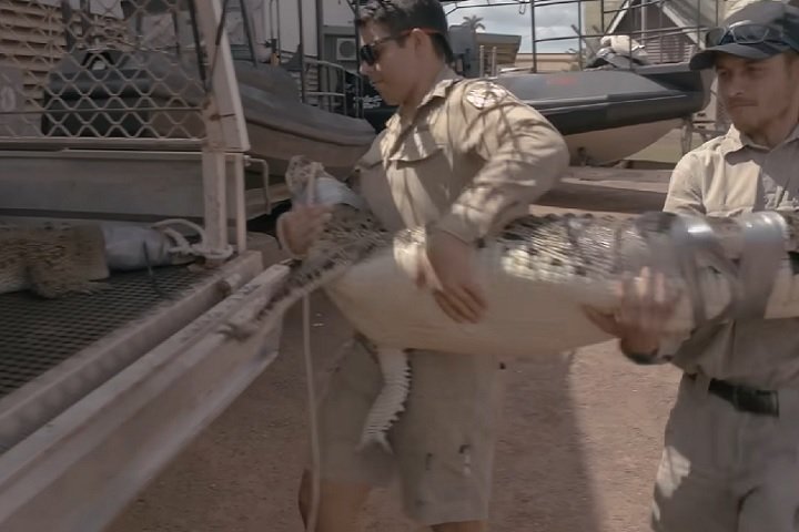 Para reduzir riscos, o programa educacional "Be Crocwise" ensina práticas seguras para convivência com crocodilos e tem sido tão eficaz que outras regiões, como Flórida e Filipinas, estão interessadas em replicá-lo.
