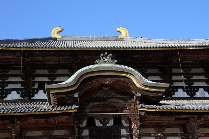 Naquela época, o templo Todai-ji ava por reformas, o que leva a crer que a marta tenha entrado no local, ficado presa e, com o tempo, mumificada naturalmente.