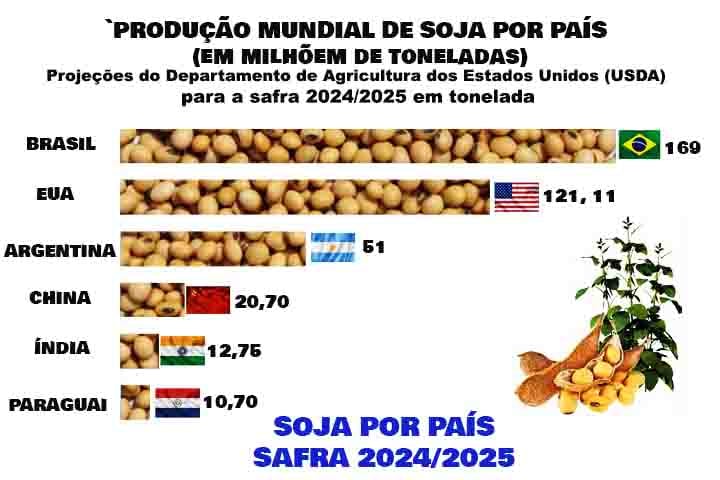 O Brasil Ã© o maior produtor de soja do mundo. Mato Grosso, Rio Grande do Sul e ParanÃ¡ sÃ£o os maiores produtores de soja do paÃ­s, seguidos de GoiÃ¡s, Mato Grosso do Sul, Minas Gerais e Bahia.