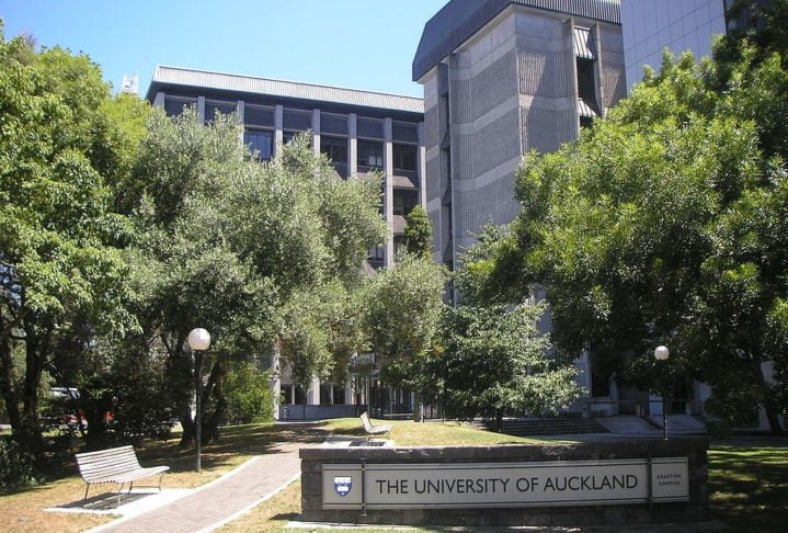 O episódio aconteceu durante uma expedição no golfo de Hauraki, conduzida por cientistas da Universidade de Auckland, que estudavam predadores marinhos.-domínio público/Winstonwolfe