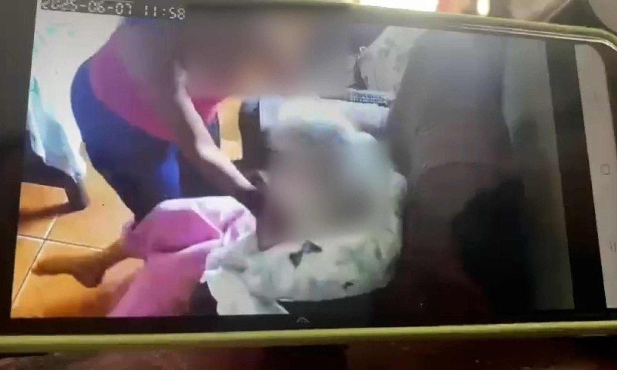 O caso foi descoberto no sábado, 7 de junho, quando a família revisou as imagens da câmera e presenciou os maus-tratos -  (crédito: Arquivo pessoal)